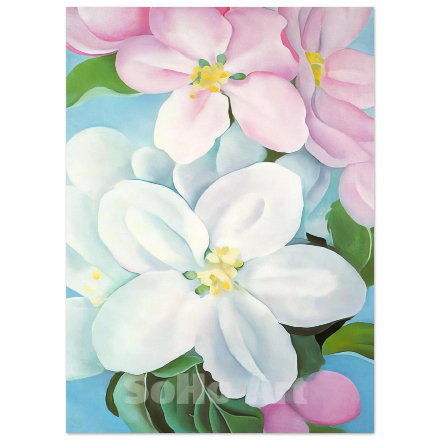 Georgia O'Keeffe - Apple Blossoms Fine Art Poster