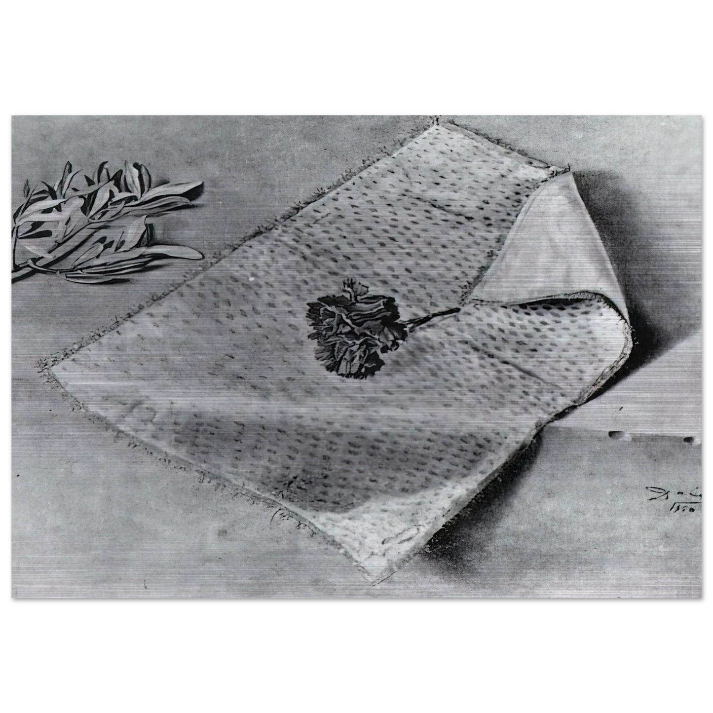 CARNATION AND CLOTH OF GOLD - Salvador Dali Brushed Aluminum Print - 70x100 cm / 28x40 inches | Salvador Dali Aluminum Print | Salvador Dali Prints