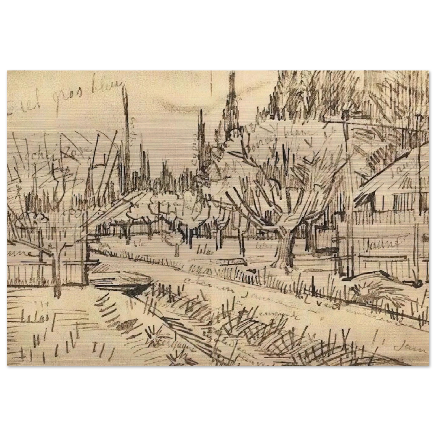Orchard Surrounded by Cypresses - Vincent van Gogh Brushed Aluminum Print - 70x100 cm / 28x40 inches | Vincent van Gogh Aluminum Print | Vincent van Gogh Prints