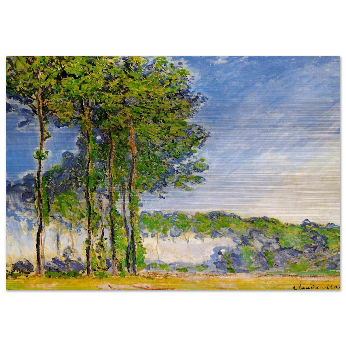 Poplars, View from the Marsh - claude monet Brushed Aluminum Print - 70x100 cm / 28x40 inches | claude monet Aluminum Print | claude monet Prints