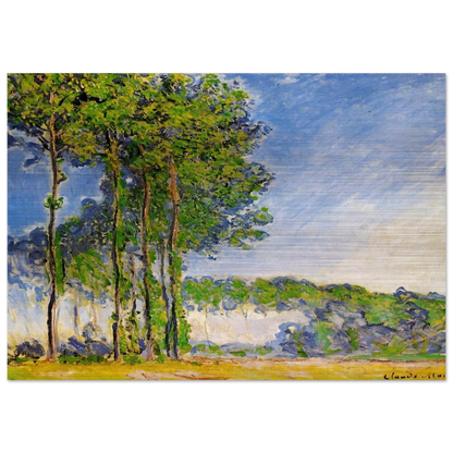Poplars, View from the Marsh - claude monet Brushed Aluminum Print - 70x100 cm / 28x40 inches | claude monet Aluminum Print | claude monet Prints
